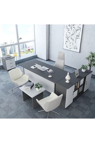 Pasha 4'lü Ofis Takımı  Model 6 Füme Beyaz