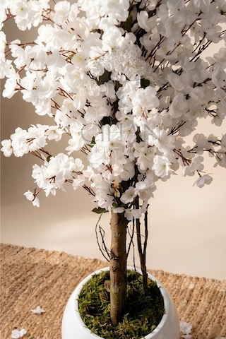 Cihan Çiçekçilik Yapay Beyaz Bahar Dalı Ağacı 200cm - 27x33 Cm Küre Saksılı