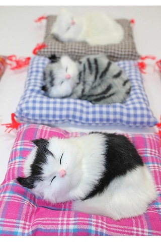 Yastıkta Uyuyan Kedi Sesli Alk24 diğer
