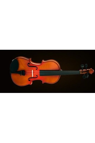 Valencia Va400 Viyola Kutulu 15.5" 39.37cm