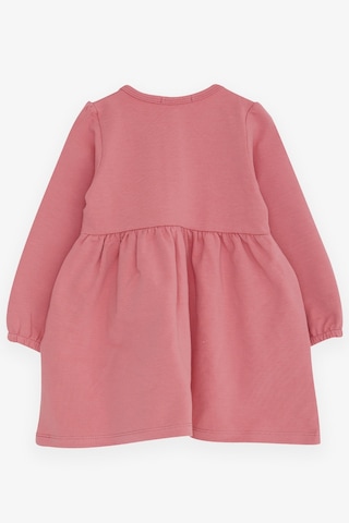 Breeze Kız Çocuk Uzun Kollu Elbise Ayıcık Aksesuarlı 2-6 Yaş, Gülkurusu