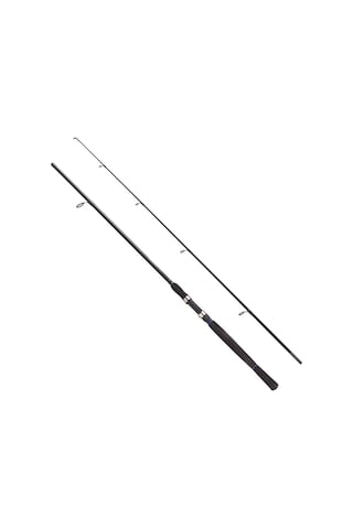 Fladen Charter Spin Kamış 2p 210 (10-30G)