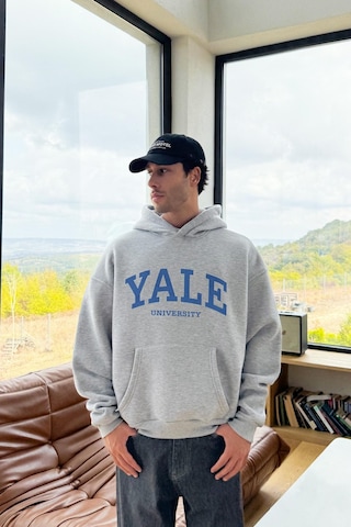 Flaw Yale Baskılı Hoodie Gri Gri