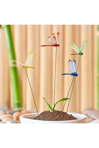 Garden With Ware Dekoratif Yusufçuk - 10'lu