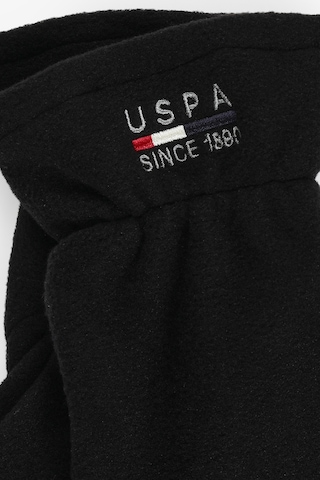 U.S. Polo Assn. U.s. Polo Assn. Erkek Siyah Eldiven 50317512-vr046
