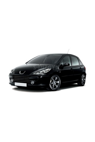 S-Dizayn  Peugeot 307 Krom Cam Çıtası 4 Prç 2001-2008