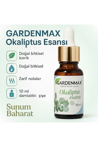 Buhurdanlık Esasnsı Okaliptus Okaliptus