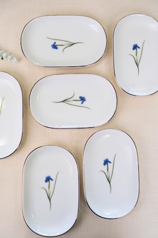 Tabak Evi Porselen Natura İris Altın Yaldızlı Oval Kayık Tabak 22,50x14,50x2,50cm 6 Lı Çok Renkli