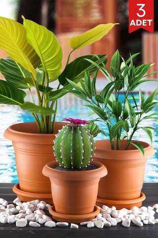 Nandy Home 3'lü Antik Model Saksı Seti