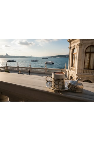 Yonca Desenli 6 Kişilik Porselenli Kapaklı 24 Parça Gümüş Renk Fincan Seti Gümüş