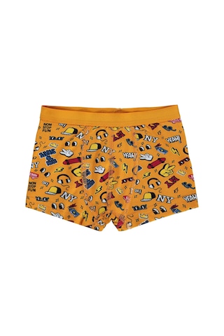 Civil Boys Funny 2-10 Yaş Erkek Çocuk 2'li Boxer - Standart