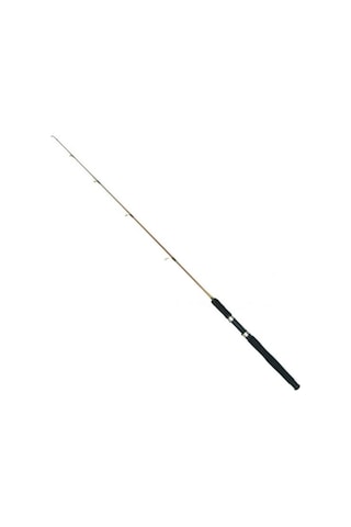 Silverstar Mustang 5-10 Lb 2 Parça Dolgu Kamış Boy: 1.25 Mt