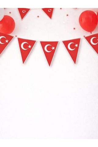 Türk Bayrağı Baskılı Üçgen Flama Bayrak Sınıf Okul Milli Bayram Dekoru Diğer