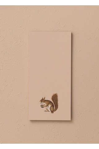The Mia Art Line Mini Notluk Squirrel 10 X 21 Cm 40 Yaprak