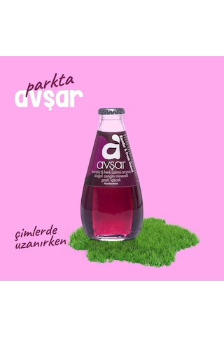 Avşar Karadut Frenk Üzümü Aromalı Maden Suyu 200 Ml X 24 Adet
