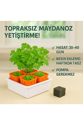 Topraksız Tarım Seti Hobi 6 Bölmeli Mini Hidroponik Bahçe Seti