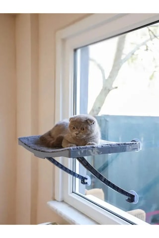 Genel Tedarik Kedi Yatağı