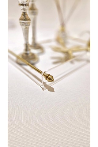 Agbtrend Queen L Tray 6 Kişilik Dekorasyon Ve Sunum Tepsisi Çok Renkli