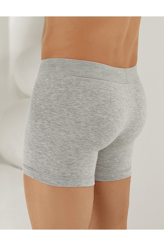 Şahinler Likralı Şahinler Yazılı Torbalı Boxer Gri Me031 Gri