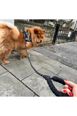 125 Cm Reflektörlü Köpek Gezdirme İpi - Küçük, Orta Ve Büyük Irklar İçin