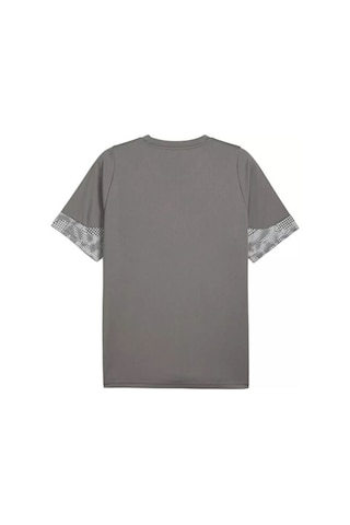 Puma Teamcup Training Jersey Erkek Futbol Tişörtü 65916713 Gri Gri