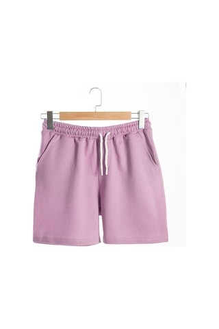 Terapi Men Erkek Lila Basic Regular Fit Şort & Bermuda Lila