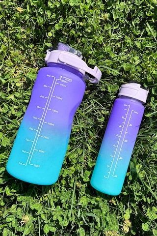 Pikas Motivasyonel 2li Su Matarası Su Şişesi Suluk 2 Lt 900ml Yavrulu Spor Salonu Su Şişesi Sticker Hediye Çok Renkli