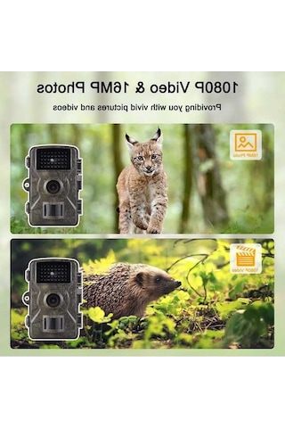 Pazly Avcılık Kamerası 1080p İz Sürme Kamerası 16mp Yüksek Kalite Yaban Hayatı İzleme Kamerası 2.0 İnç Tft Renkli Yeşil
