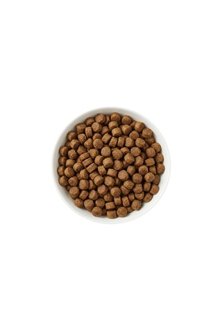 Zampa Plus Premium Tavuk Etli Küçük Irk Yavru Köpek İçin Kuru Mama 2500 G