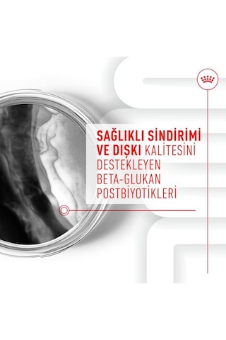 Immunity&digestion Chews Bağışıklık Ve Sindirim Sistemini Destekleyen Tamamlayıcı Ödül Maması 100g