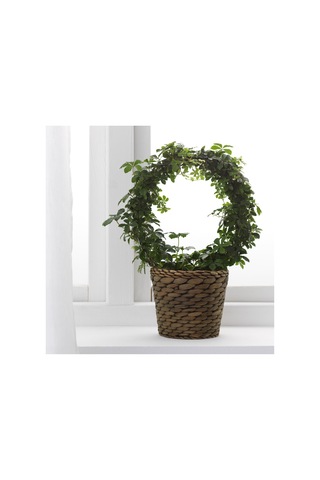 Druvflader Rattan Saksı, Su Sümbülü 17833246