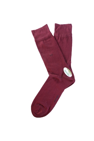 Morven Erkek Bordo Bambu Düz Uzun Çorap Bordo