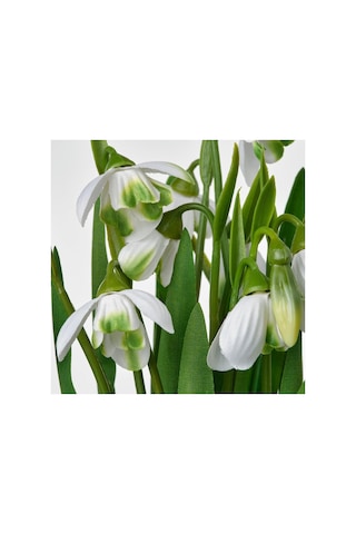 Yapay Bitki, Yeşil-beyaz, 9 Cm, Kardelen, İç/dış Mekan Diğer
