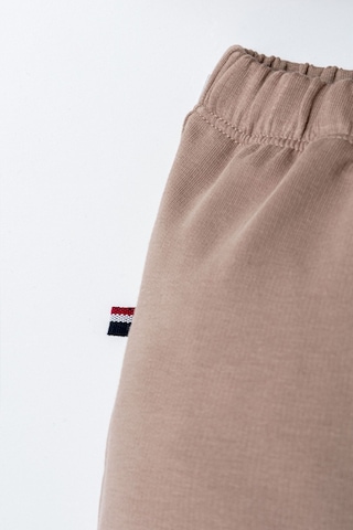 U.s. Polo Assn. Erkek Bebek Kahverengi Şort Takım Usb2885-c-v5 Kahverengi