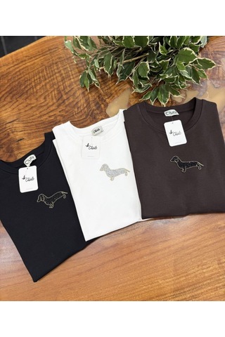 Viyan Butik Yuvarlak Yaka Taşlı T-shirt Kahverengi