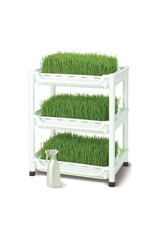 Tribest Sproutman'S Topraksız Buğday Çimi Yetiştiricisi Çok Renkli