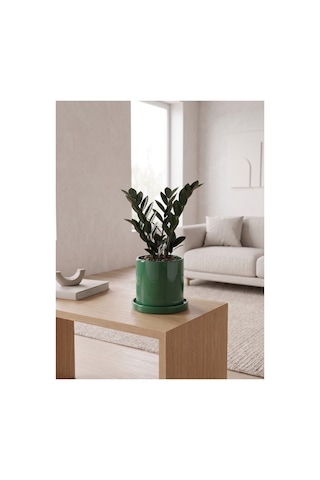Romeo Seramik Saksı Parlak Yeşil Jade Green Tabaklı Çap:15cm Yük:15cm Romeo Seramik Saksı Parlak Yeşil Jade Green Tabaklı Çap:15cm Yük:15cm