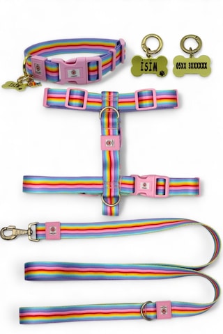 Köpek Tasma Seti Kişiye Özel Künyeli İsimli Tasma Çzgpmb Pembe