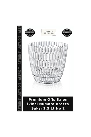 Premium Ofis Salon İkinci Numara Brezza Saksı 1,5 Lt No 2