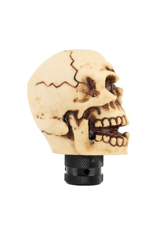 Wondernest Evrensel Araba Kafatası Şekil Değiştirici Manuel Ve Otomatik Vites Topuzu Std