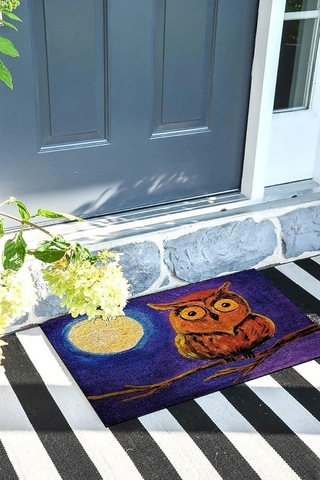 Baykuş Kapı Önü Paspası Dekoratif Kapı Paspası Dış Mekân Paspas Ev İçi Paspası 45x70cm Diğer