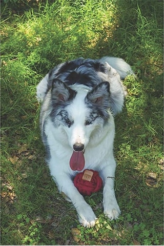 M-pets Coto Red Ball Örgü Top Köpek Oyuncağı 9,5 Cm 244-50007.01