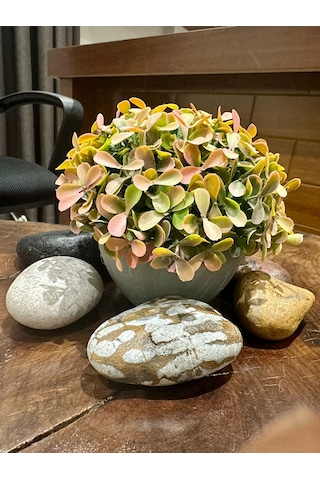 Modern Gri Saksıda Gerçekçi Yapay Dekoratif Bitki 17 X13 Cm Ev Ve Ofis Dekoru Çok Renkli