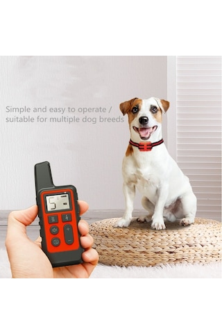 Köpek Eğitim Uzaktan Kumanda  Elektronik Yaka Kırmızı