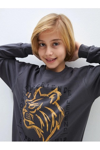 Aslan Desenli Erkek Çocuk Sweatshirt Füme