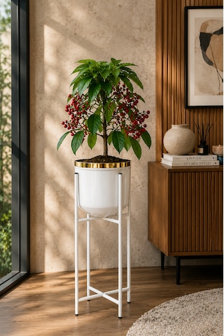 Bitkidunyam Mat Ayaklı Saksı, Metal, Altın Detaylı Kenar, Modern Minimalist Stil, İç Mekan, 52x21 Cm No:4 Beyaz