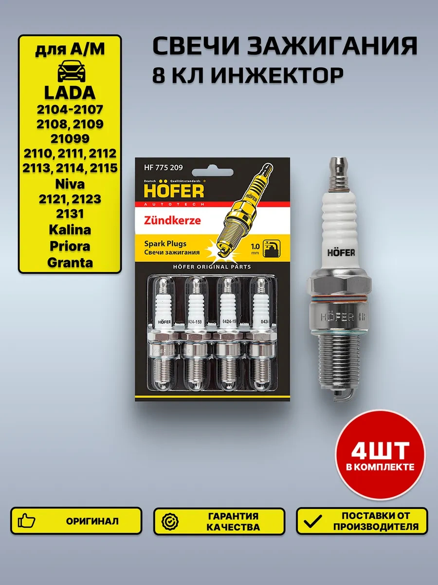 Hofer Buji 8 Valfli Enjeksiyonlu Motorlar İçin 251723360