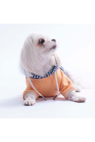 Somon Sera Stripe Köpek Hoodie Köpek Sweat Köpek Kıyafeti Kedi Kıyafeti