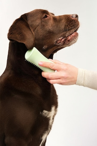 Tangle Teezer Pet Puppy Brush Grooming Green Köpek Bakım Fırçası