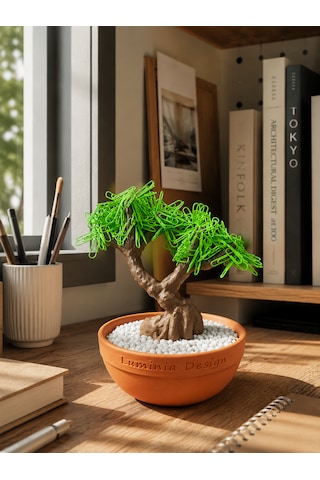 Bonsai Ağacı Organizer